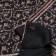 DALIA BLACK, real embroidered pashmina shawl 100% cashmere