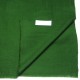 Véritable Pashmina 100% cachemire Vert sapin Grand modèle