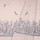 PALLA CRÈME, echte Pashmina stola 100% cashmere met de hand geborduurd