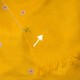 LANA SAFFRON, Real embroidered pashmina shawl 100% cashmere