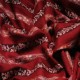 EUGENIE RED, real pashmina 100% cashmere natural with full handmade embroideries