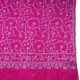 JANE PINK, real embroidered pashmina shawl 100% cashmere