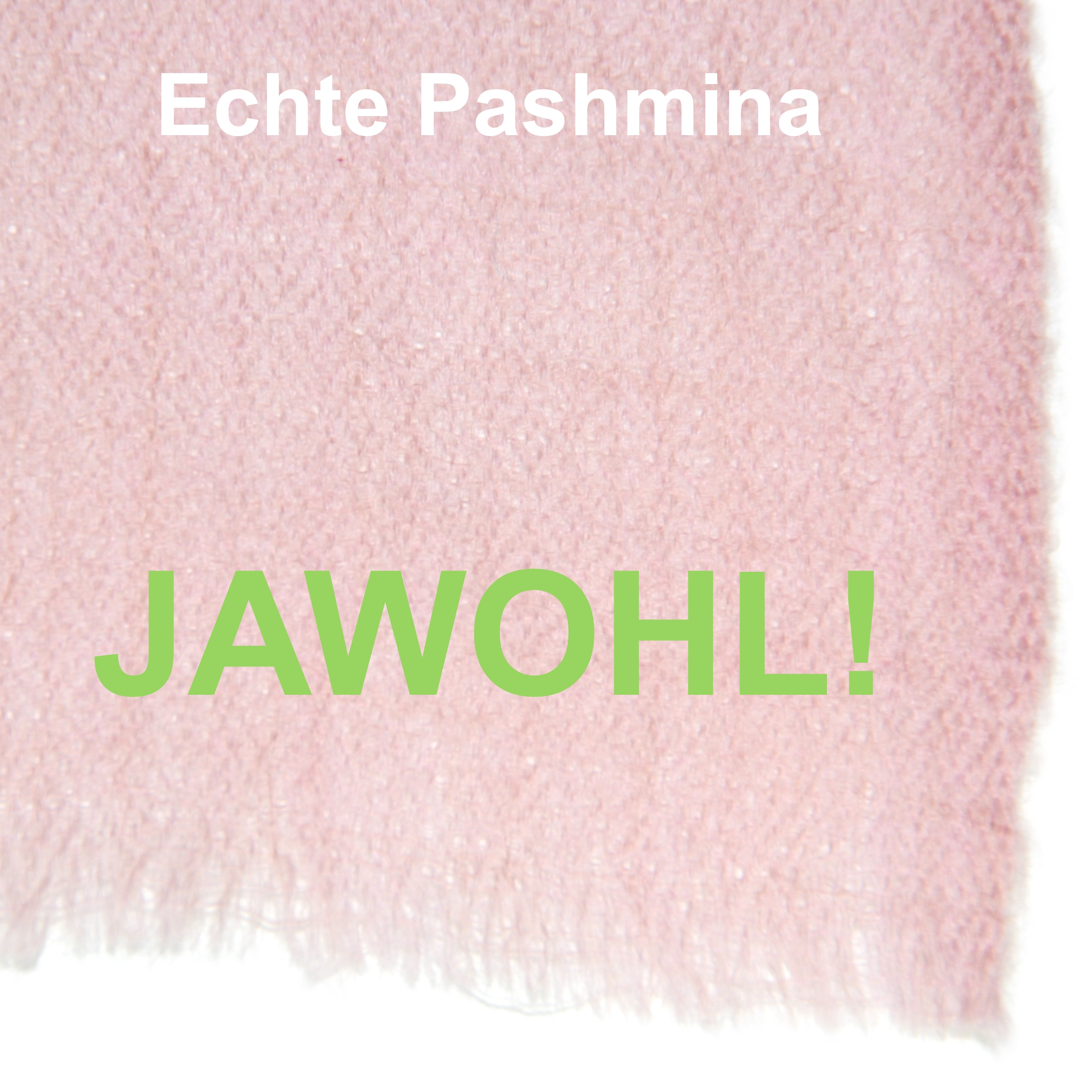 Die echte Pashmina wird in indischem Kaschmir aus reinen Kaschmir-Pashmina-Daunen handgewebt, die in Ladakh auf einer Höhe von über 4500 m geerntet werden.