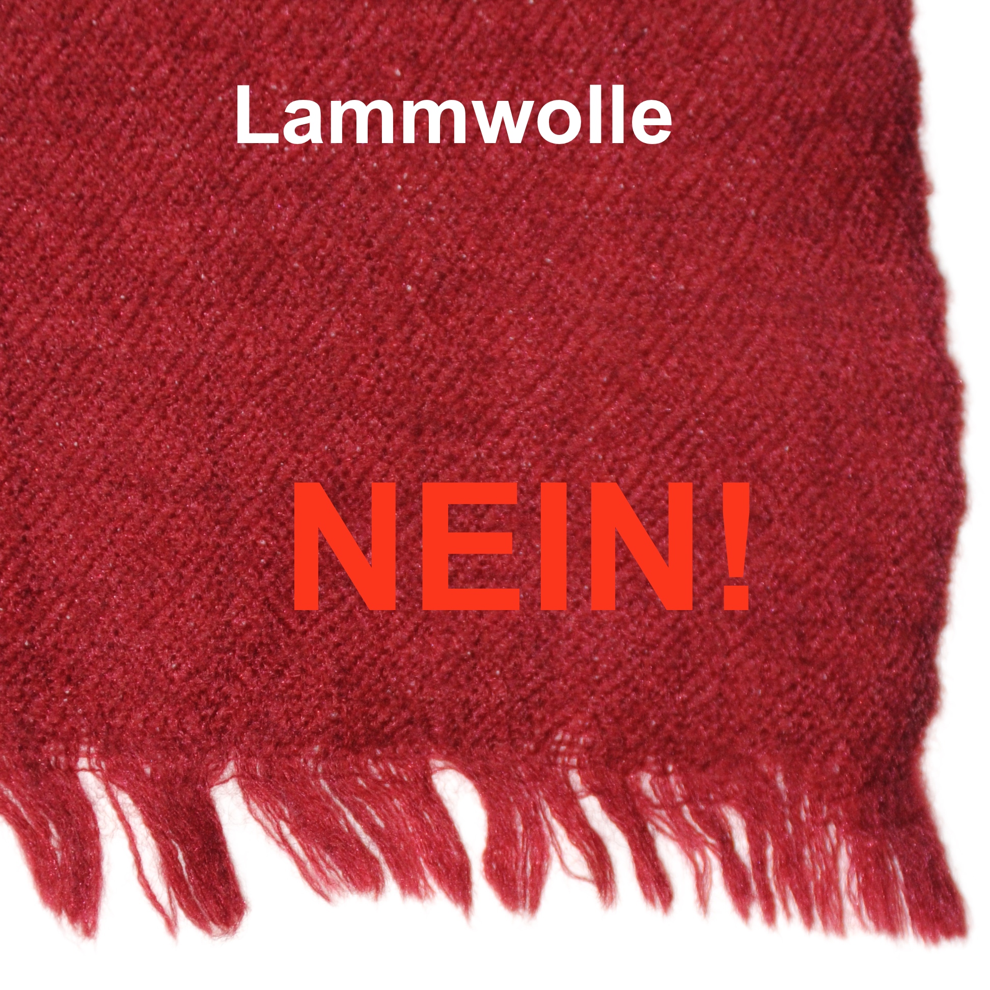 Seien Sie vorsichtig bei Nachahmungen. Echte Pashmina werden oft imitiert, aber eine echte Luxus-Pashmina aus reinem Kaschmir ist weicher, leichter und wärmer als alle Nachahmungen.